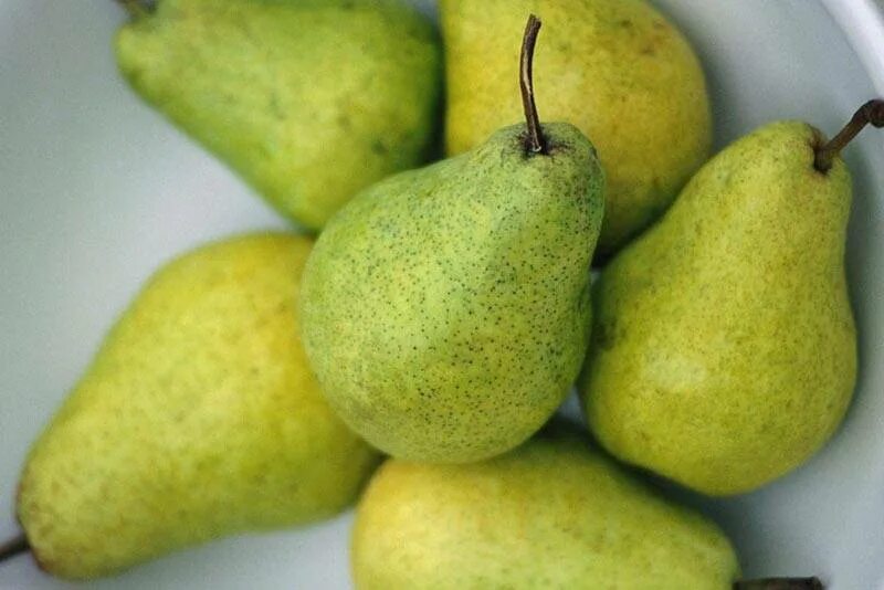 Груша 12. Груша 12. Пневматическая груша ronin. Груша 12. Счетный материал.