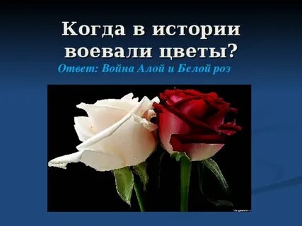 Три цветка в ответ