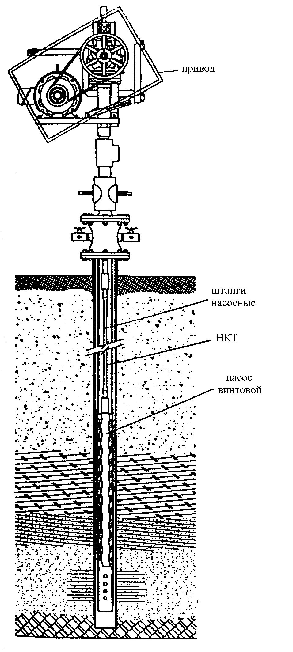 Штанговый винтовой насос для нефти схема. Погружной винтовой насос для добычи нефти. Винтовой насос для добычи нефти схема. Погружной винтовой насос схема.
