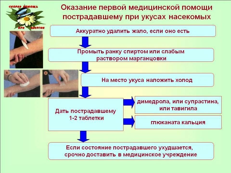 Медицинская помощь при укусах змей. Алгоритм оказания первой помощи при укусе пчел. Алгоритм оказания первой помощи при укусах насекомых. Алгоритм оказания первой медицинской помощи при укусе клеща. Составьте алгоритм оказания первой помощи при укусах насекомых.