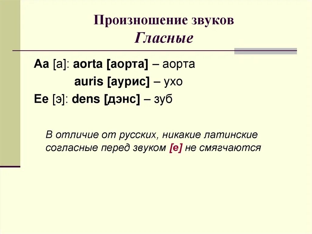 Сколько гласных в латинском алфавите. Гласные и согласные в латинском. Латинский правила чтения таблица. Гласные в латинском языке. Согласные в латыни.