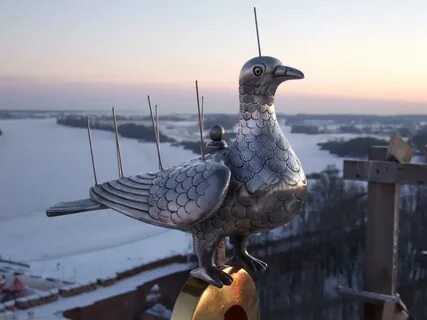 Голуби новгорода