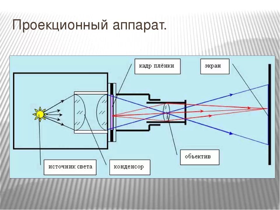 Оптическая схема проекционного аппарата. Проекционный аппарат физика оптика. Проекционный аппарат строение. Эпископический проекционный аппарат схема. Оптическая линза назначение прибора