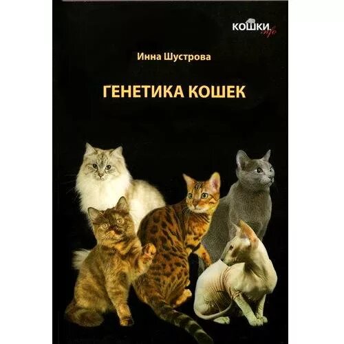 Генетика кошек для чайников. Шустрова генетика кошек. Схема окраса кошек. Генетика окрасов кошек. Наследование окраски у кошек.