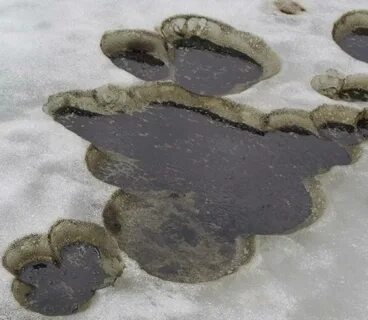 Мазут в мире