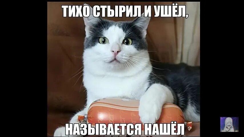 Тихо называется. Тихо стырил и ушёл. тихо стырил и ушёл называется нашёл. тихо слямзил и ушел называется нашел. быстро спиздил и ушел называется нашел.
