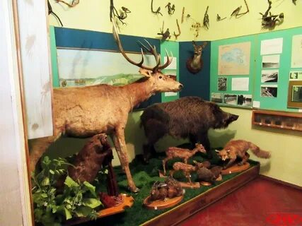Краеведческий музей великий новгород
