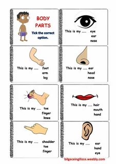 Parts of the body exercises