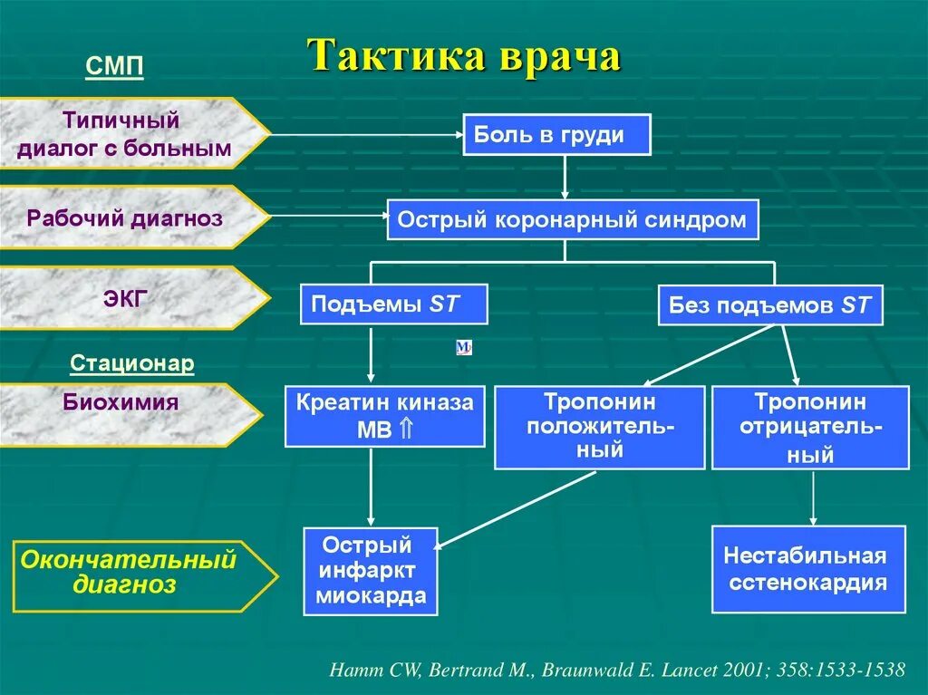 Алгоритмы врачей терапевтов