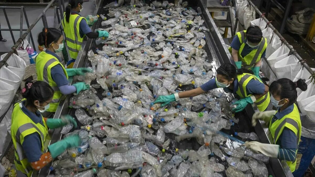Деятельность с отходами. Утилизация отходов. Переработка отходов. Переработка биомусора. Утилизация промышленных отходов.