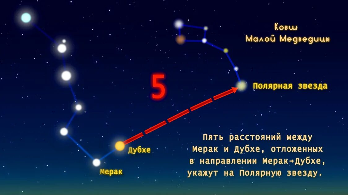 Где находится Северная звезда на Звездном небе. Полярная звезда где находится на небе в каком созвездии. Полярная звезда на небосводе. Как найти полярную звезду. Применение северной звезды