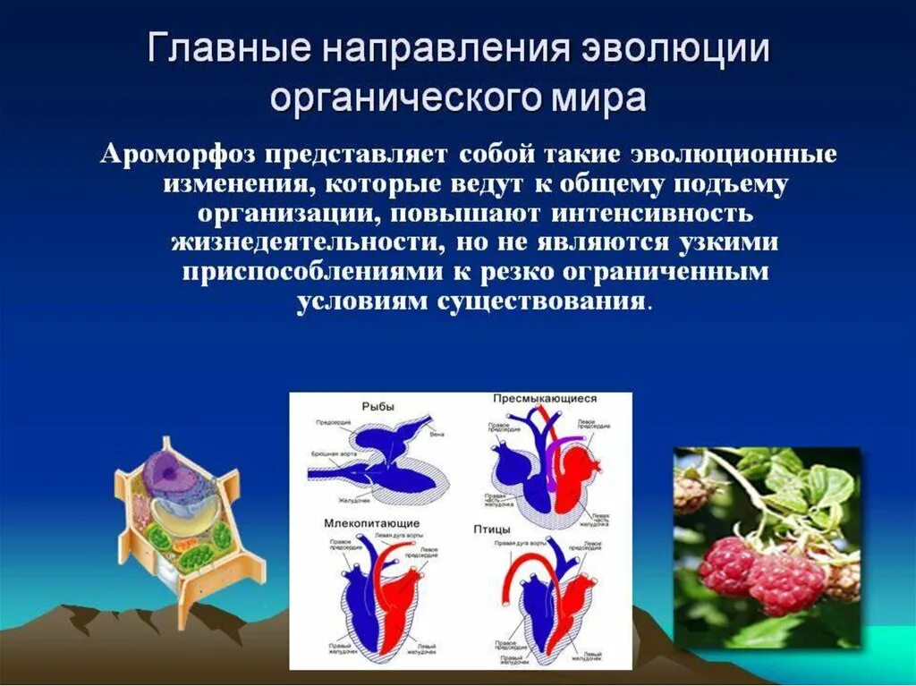 Н которые изменения