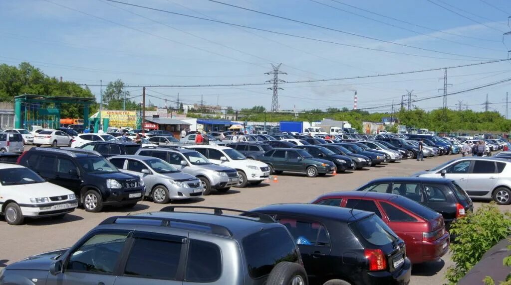 Рынок автомобилей. Дизайн сайта автосалона. Сайты авто рынков. Сайты авто рынков. Конфискованные автомобили.