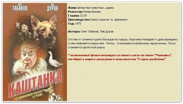 Презентация каштанка 5 класс. Каштанка клоун. Какое имя дали каштанке в цирке 5. Прикольные кроссворды. Кроссворд по каштанке.