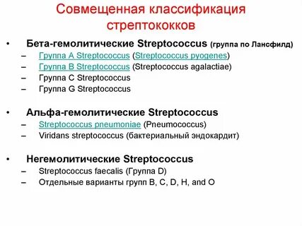 Какие бывают стрептококки