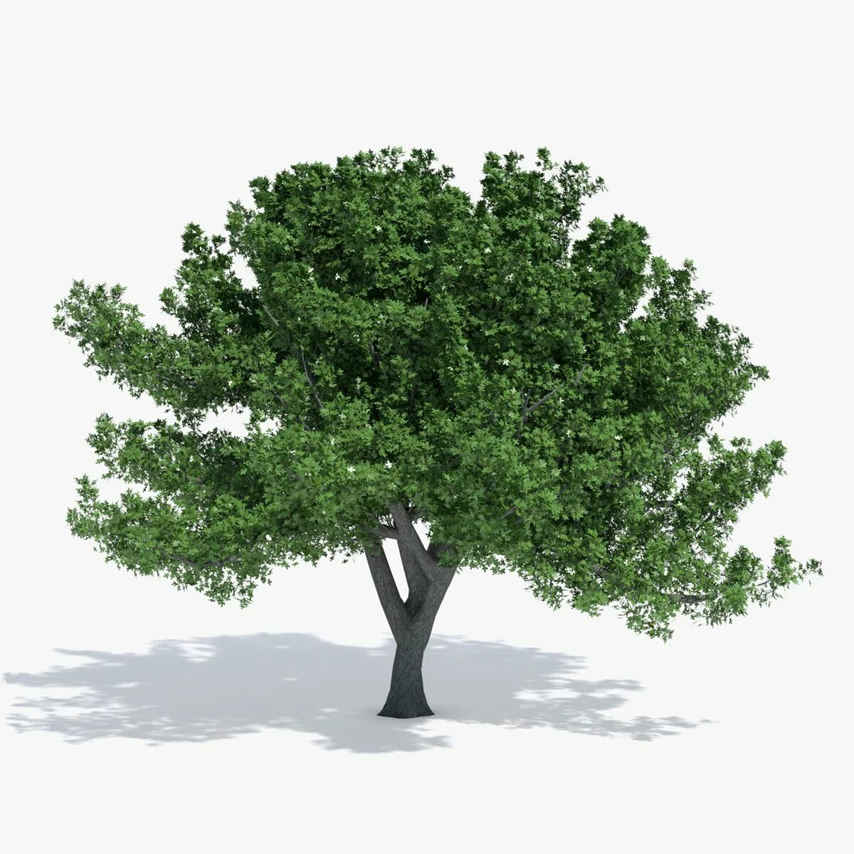Blend tree
