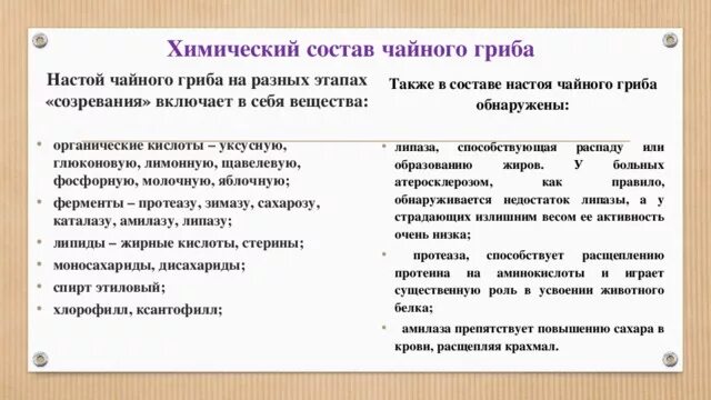 Можно пить чайный гриб при сахарном диабете. Чайный гриб химический состав. Химический состав чайного гриба таблица. Чайный гриб состав. Чайный гриб настой состав.