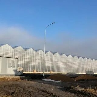 Теплицы елец