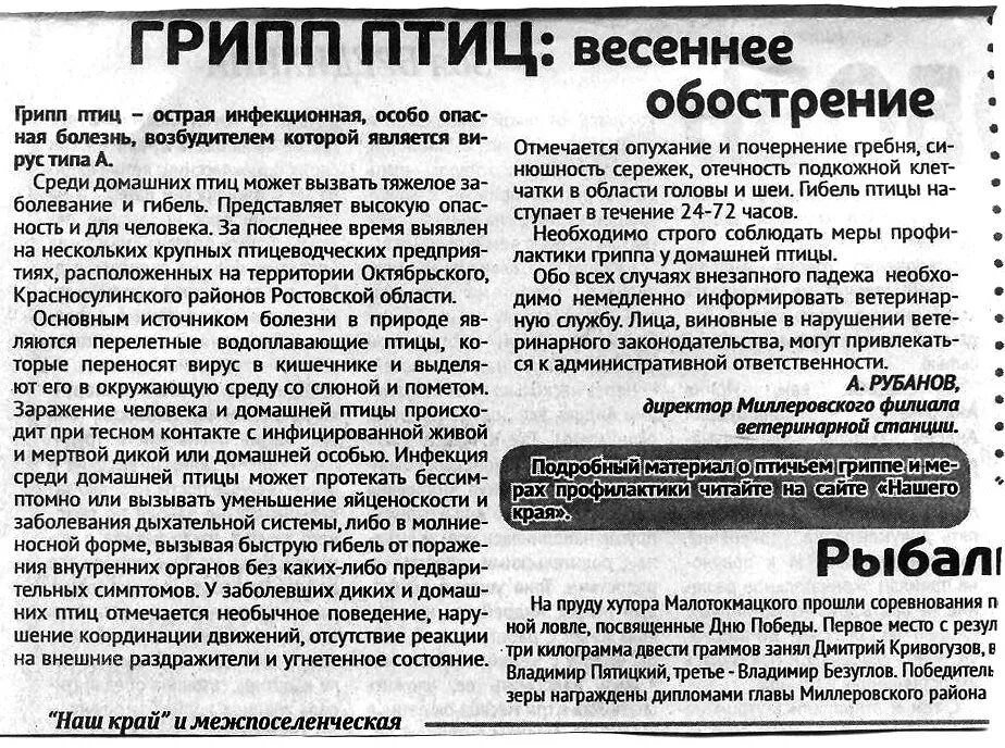 Грипп птиц в газетах. Заметка в газету по гриппу птиц. Грипп птиц статья в газету. Птичий грипп памятка.