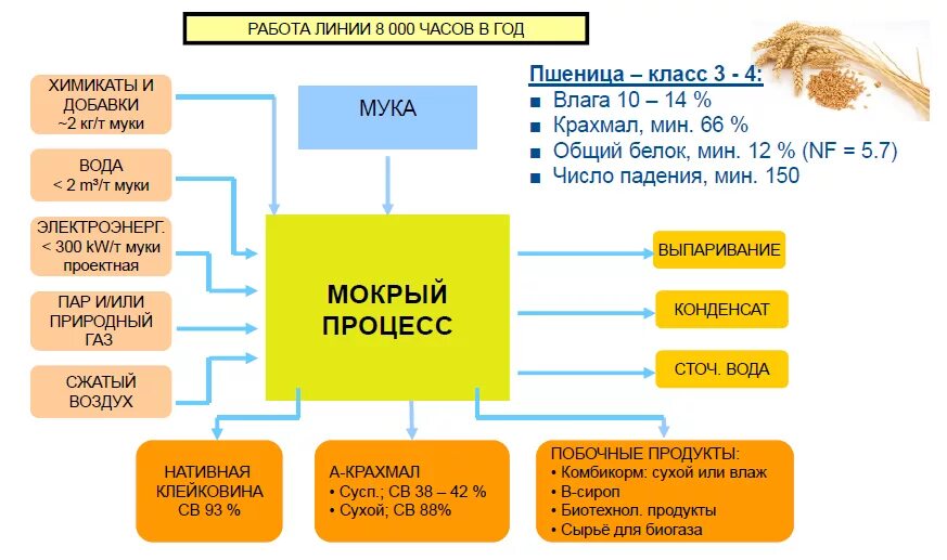 Производство глубокой переработки. Схема глубокой переработки зерна пшеницы. Технологическая схема глубокой переработки зерна. Продукты глубокой переработки пшеницы. Глубокая переработка пшеницы.