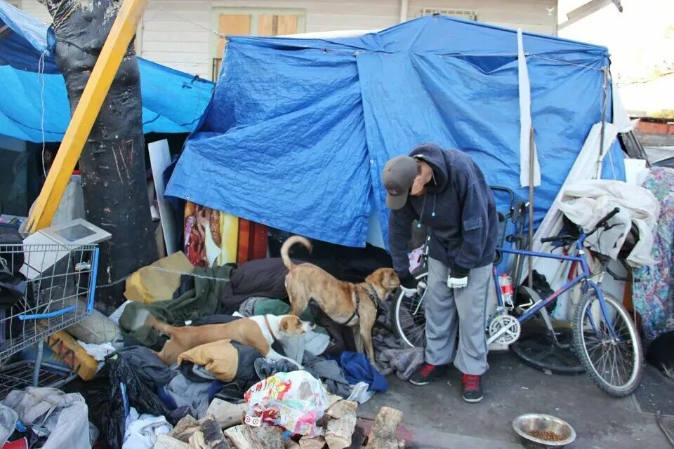 Перед бомжей. Бездомные США на помойках.