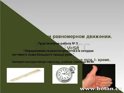 Скорость кровотока в ногтевом ложе