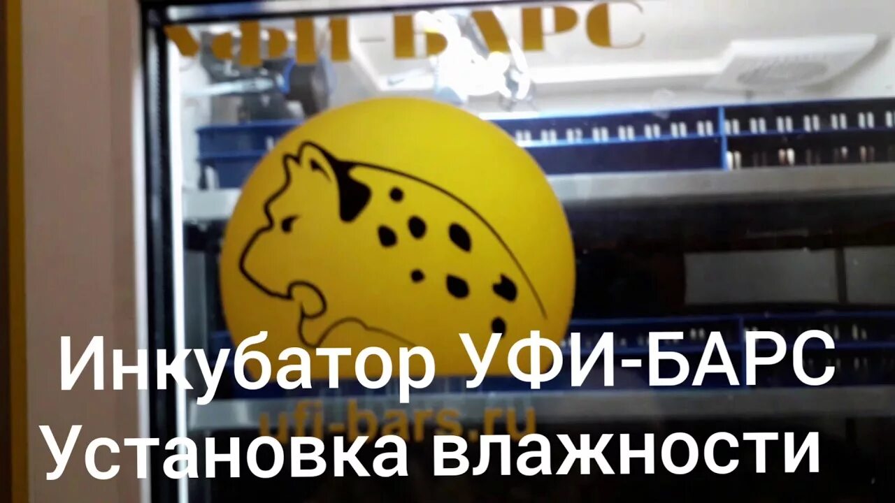 Уфи барс. Инкубатор барс. инкубатор уфи барс на 600 яиц. уфи-барс инкубатор цена.
