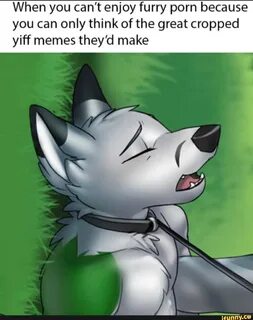 When you can't enjoy furry porn because you can only think of the grea...