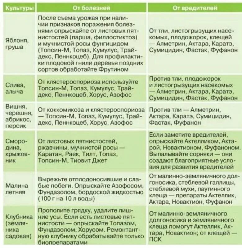 Календарь опрыскивания деревьев. Схема опрыскивания плодовых деревьев весной от вредителей и болезней. график обработки плодовых деревьев от вредителей и болезней. таблица опрыскивания сада. средства для обработки плодовых деревьев от вредителей.