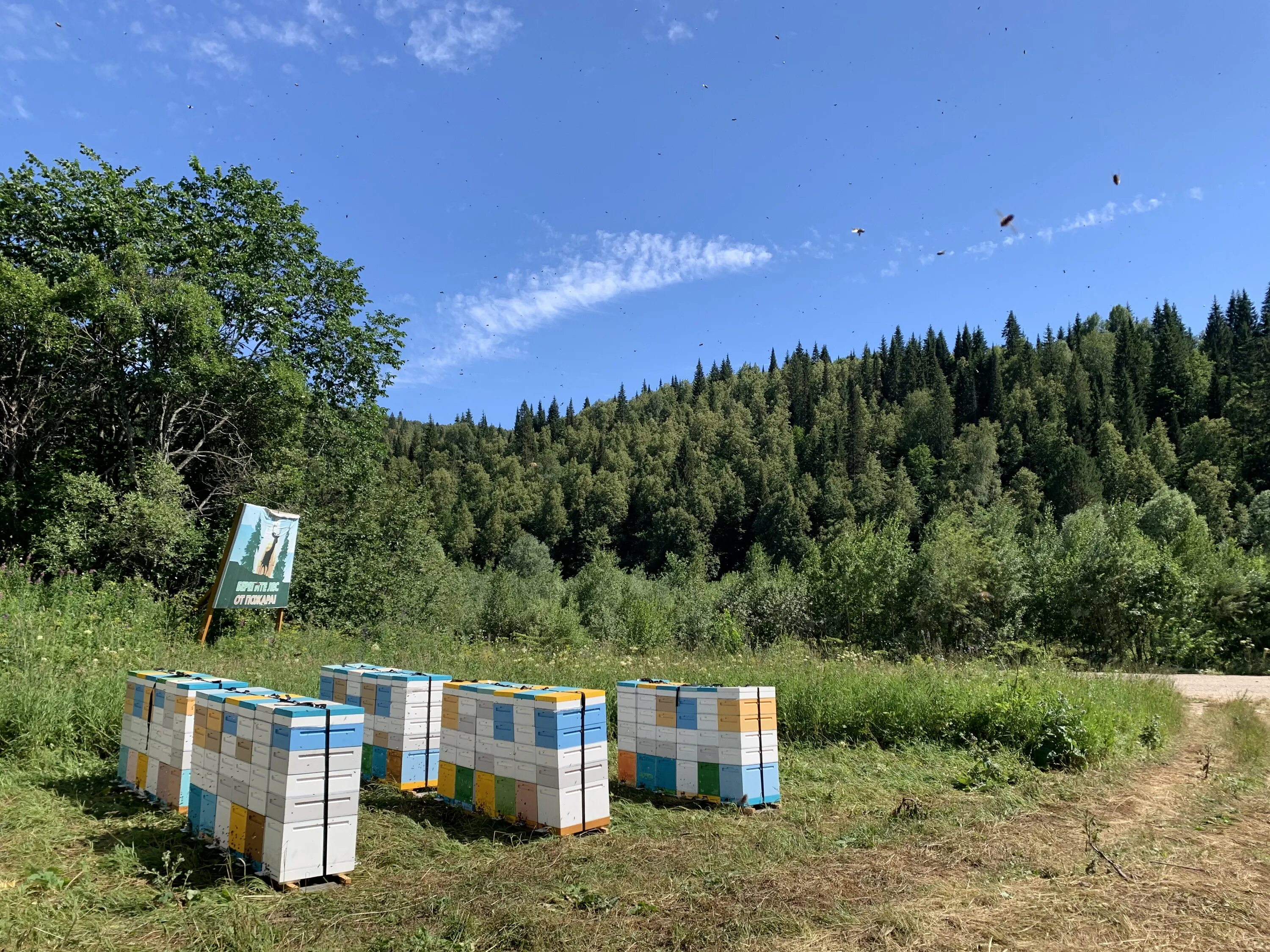 Пасека дмитриевых в башкирии. Фото когда пчёлам жарко. Теплый холодный занос в ульях. Пасека дмитриевых. Улей на теплый занос плюсы и минусы.
