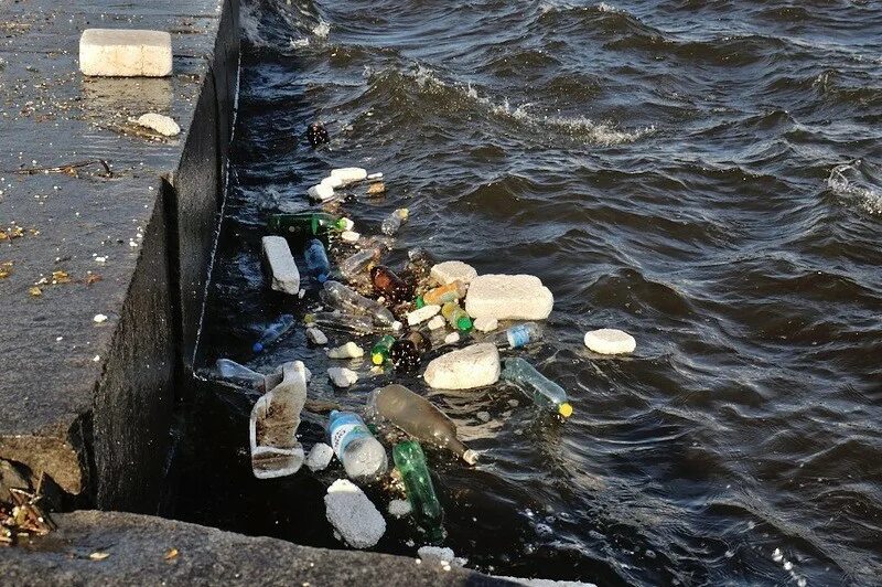 Стой грязная вода. Загрязнение водоемов.