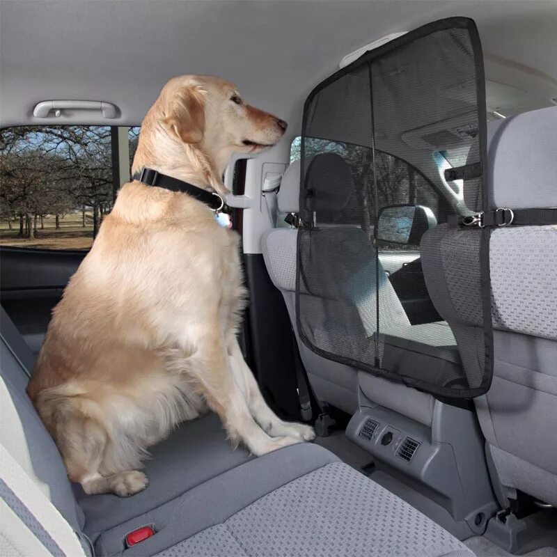 Можно машинку собак. Собака в багажнике автомобиля. Можно машинку собак. Животное в машине. Кресло для собак в автомобиль.