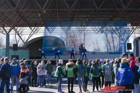 Зеленый остров мероприятия