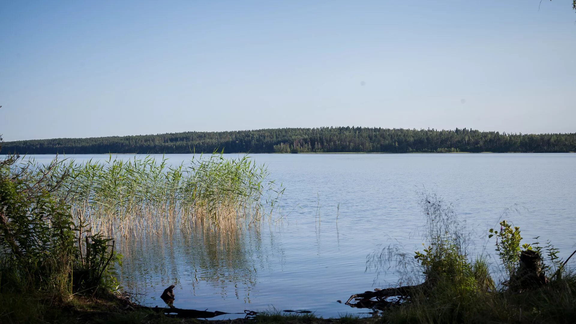 Высокинская территория. Высокинское озеро рыбалка. Высокинское озеро ленинградская фото. Высокинская территория. Высокинское озеро ленинградская новости.