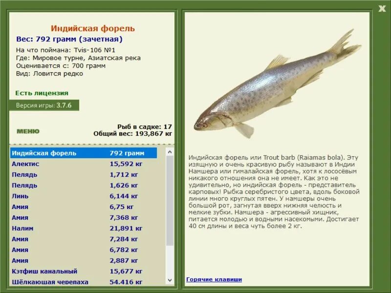 Карповая рыба 3 буквы. Максимальный вес форели. Русская рыбалка 3 Снежная форель. Форель 700 грамм. Рр3 ганг.