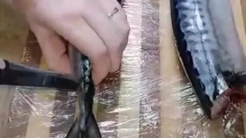 Сколько времени варить скумбрию в воде