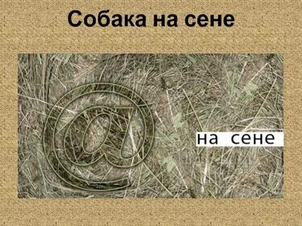 Код на сене