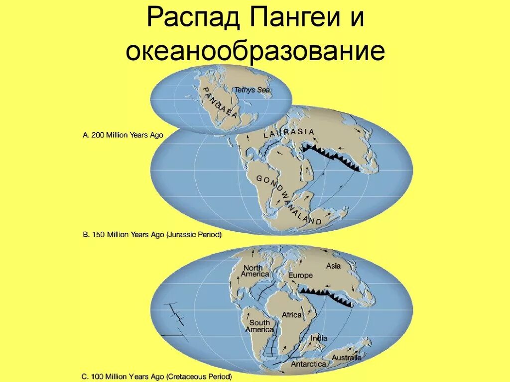 Название первых материков. Материк Пангея Лавразия Гондвана. Пангея Лавразия и Гондвана. Распад Пангеи. Пангея схема.