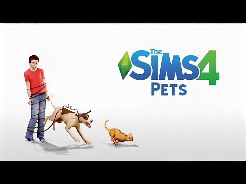 Get a new pet