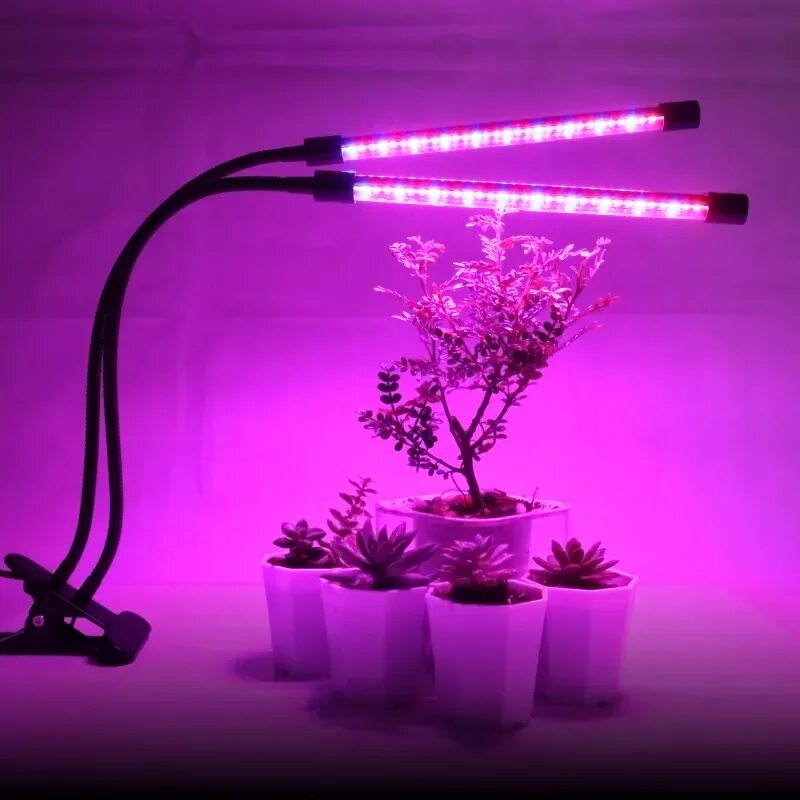 Фито светильник для растений. "Полный спектр - 20 ватт". Фитолампа led grow Light. Фитолампа Mr 11. Фитолампа для растений полного спектра. Uniel полный спектр