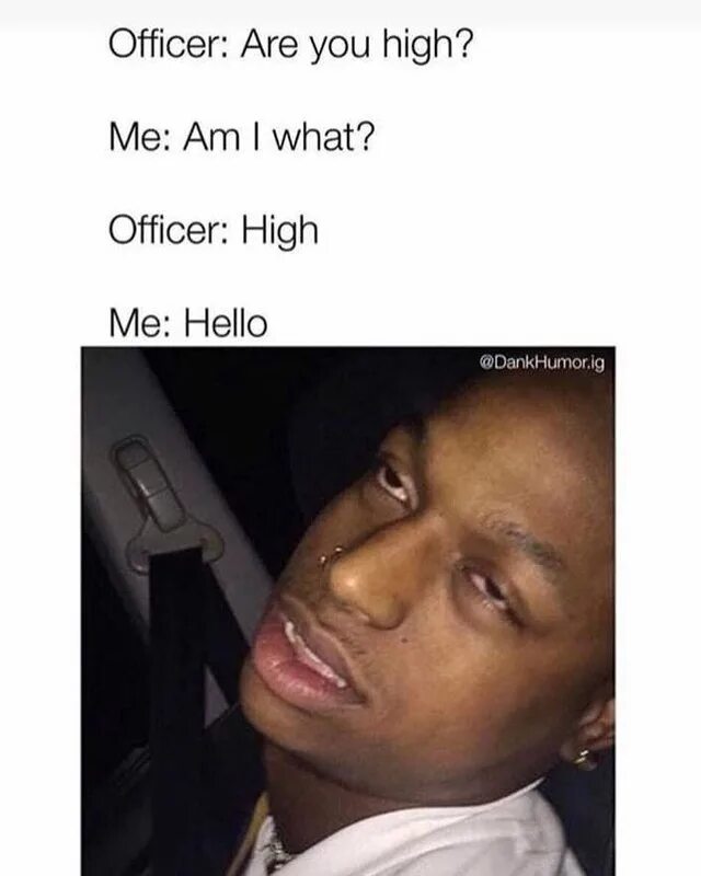 You are me high. Are you high hello. are you high. are you high am i what high hello. are you high meme.
