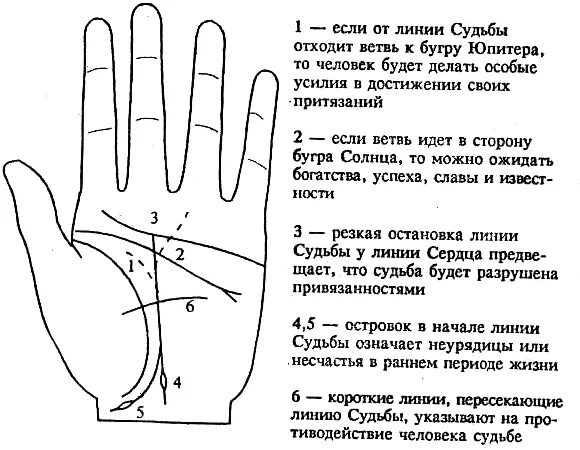 Самостоятельная работа по судьбе человека. Линия судьбы пересекается линией снизу. Линия жизни пересекается с линией судьбы. Линии на ладони линия судьбы. Нет линии судьбы.