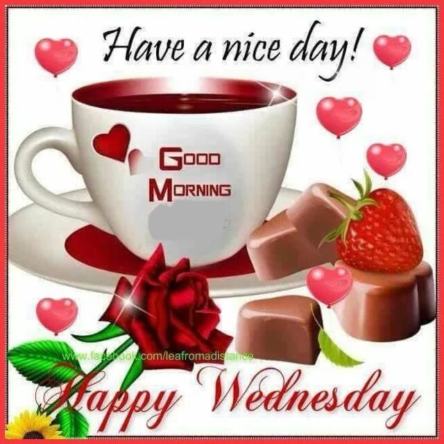 Have a nice day. Have a nice day картинки. Have a nice day. Nice day перевод на русский язык. Have a nice day.
