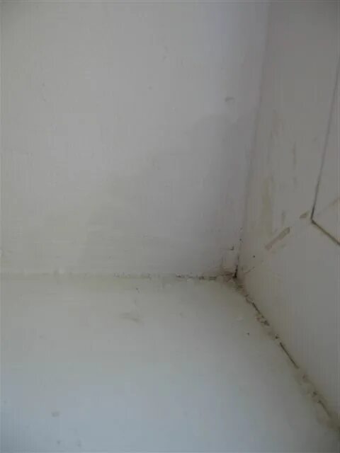 Промерзает шов в углу стены. Следы промерзания стен. Грибок на стенах. Мокрая стена дома. Мокрый угол.