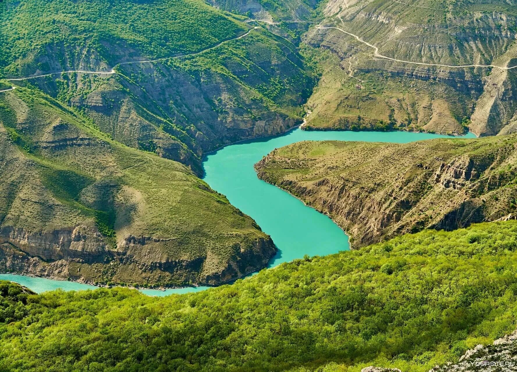 Сулакский каньон в Дагестане. Каньон в Дагестане Сулак. Сулакский каньон Зубутли. Дубки Дагестан Сулакский каньон. Каньон судакский