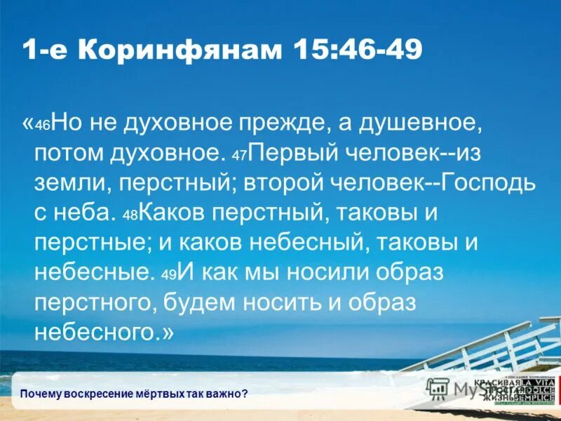 коринфяне кто это библия. 1 коринфянам 12: 1-11. 1 коринфянам 11 3. вы письмо христово всеми читаемое. 1 коринфянам 12 :3.