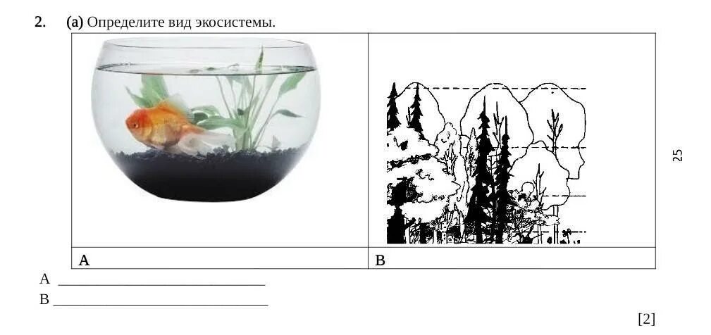 Тест экосистемный уровень 9 класс. Виды экосистем. Определите по рисункам Тип экосистемы. Моделирование: экосистема аквариума. Виды экосистем 5 класс.