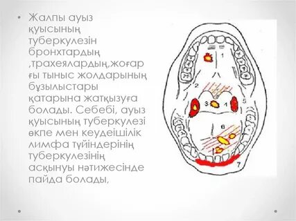 Бастық ханымды лесбиянка бұзды