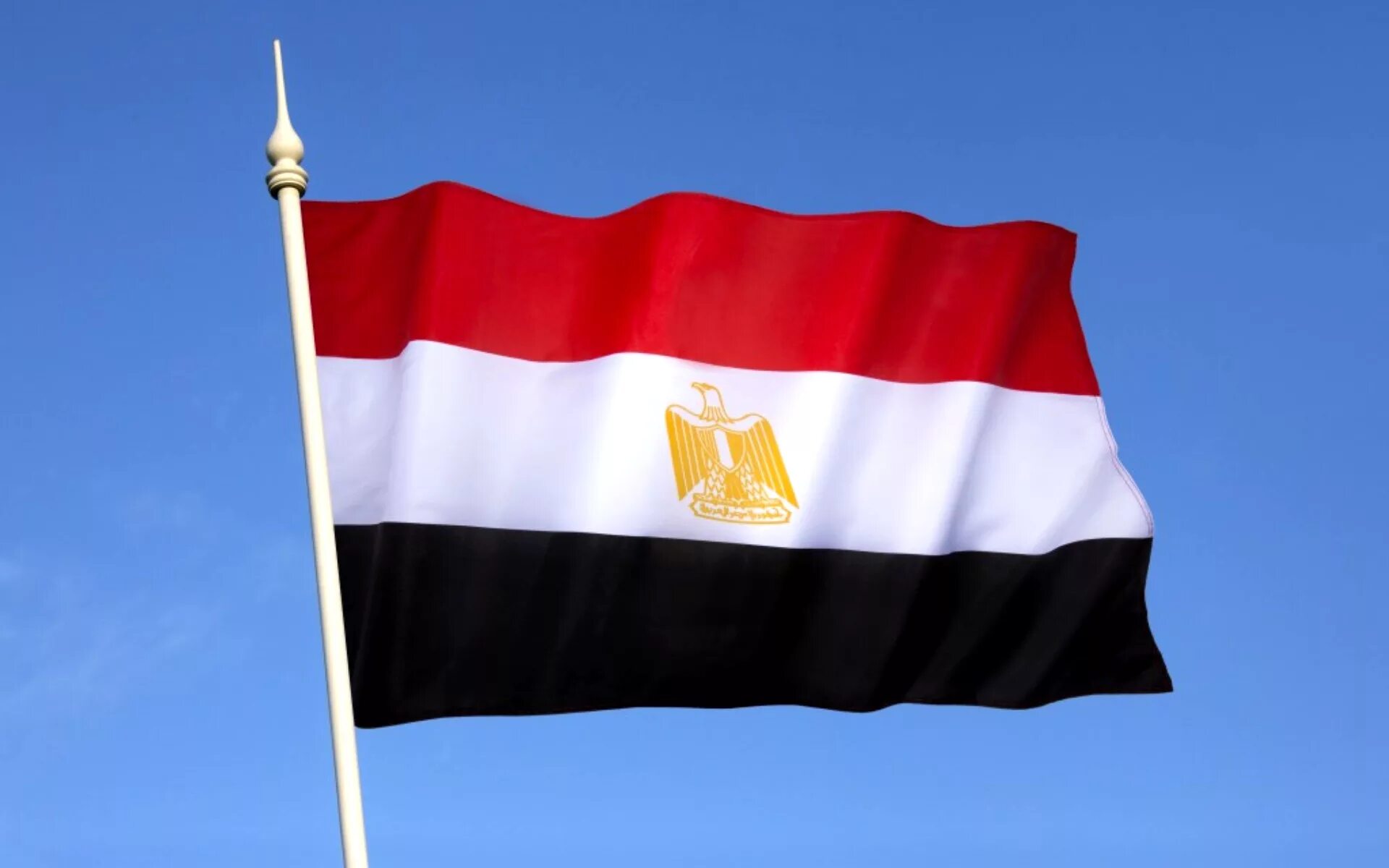 Как выглядит флаг картинка. Флаг Египта. Гос флаг Египта. Арабская Республика Египет флаг. Флаг Египта фото.