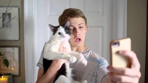 Def cat